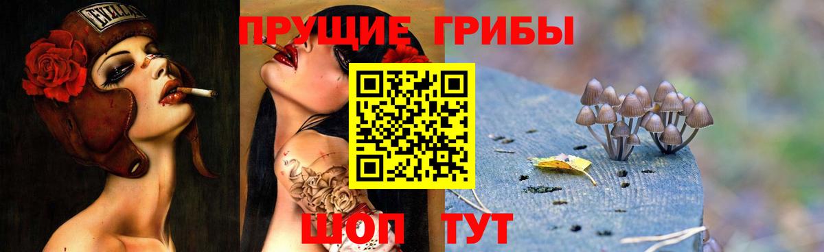 Псилоцибиновые грибы ЛСД  Псилоцибиновые грибы ЛСД  Набережные Челны  Вход с VPN 
